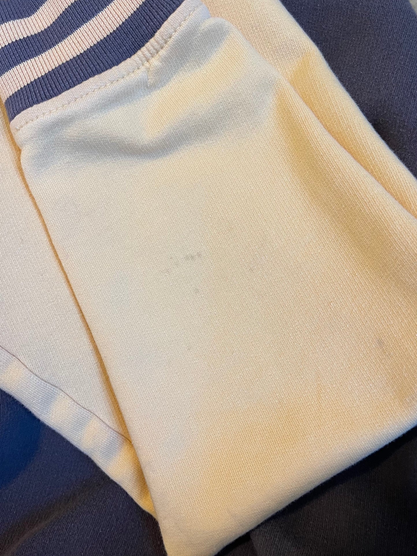Vintage Savannah Georgia Hoodie